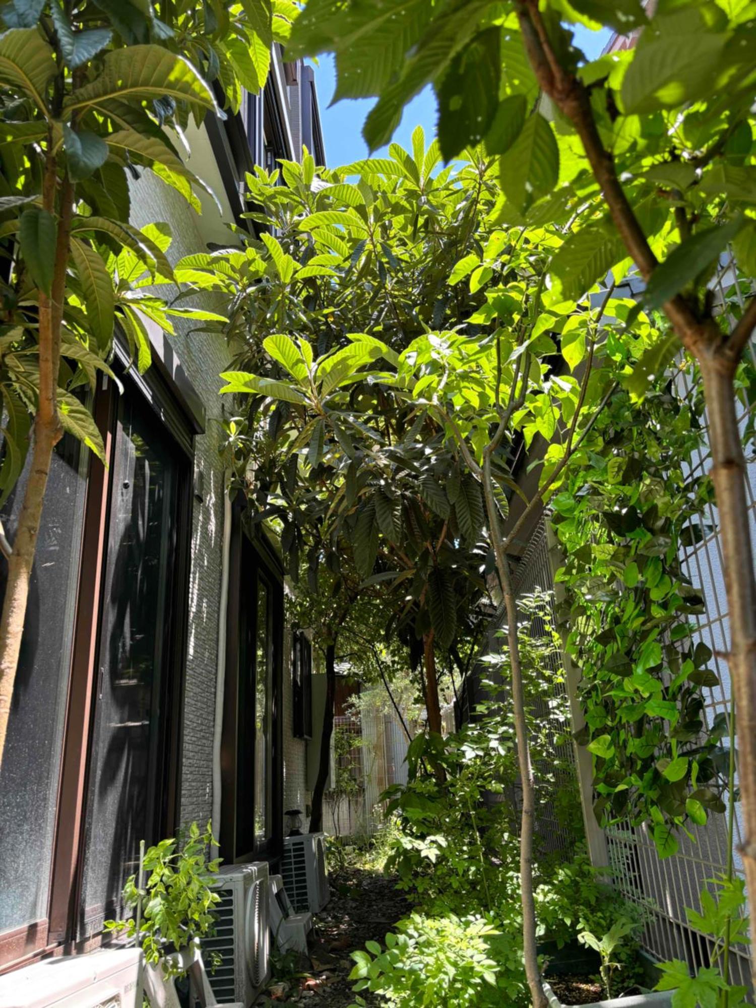 Guest House Harukawa Osaka Bagian luar foto